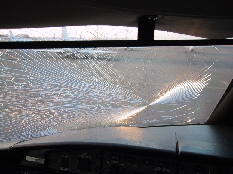 Faceply Crack Cats Eye faceply_crack_cats_eyes