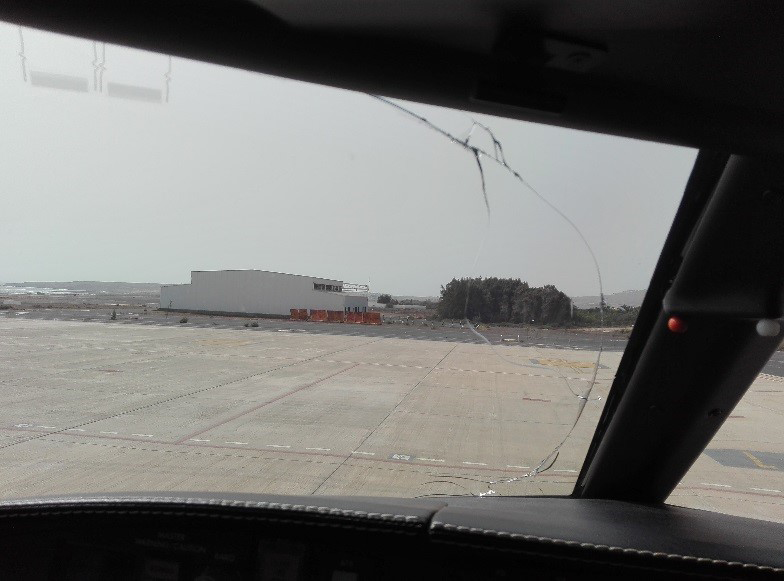 Faceply Crack Race Track faceply_crack_race_track